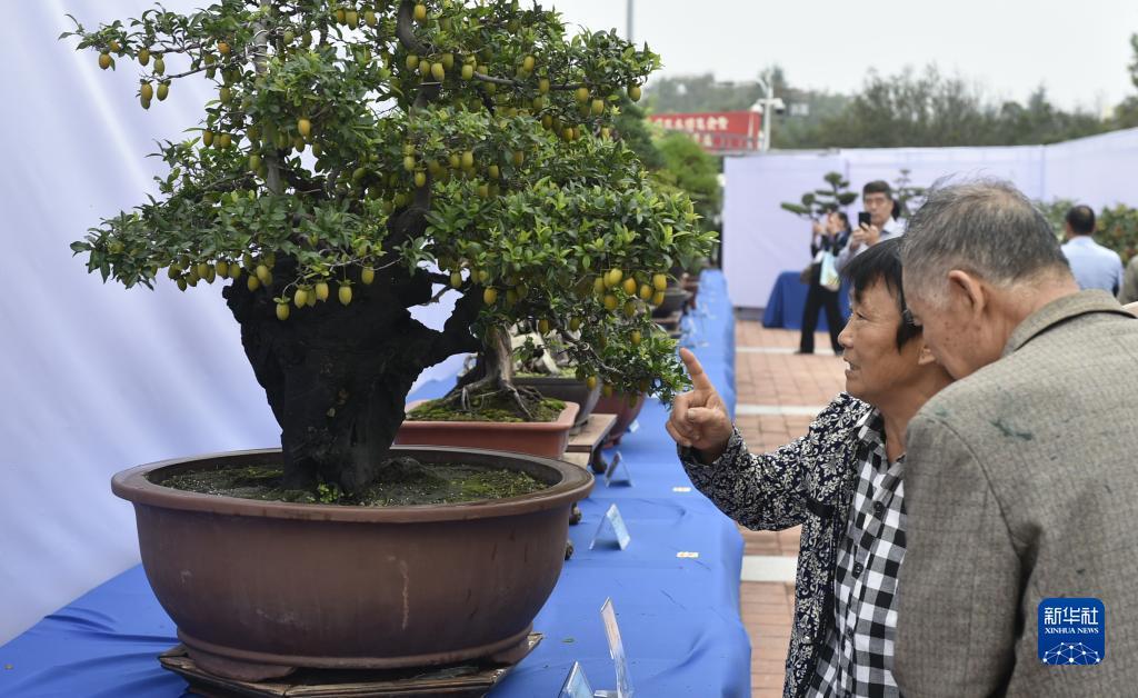 万能娱乐返利